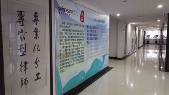 專(zhuān)業(yè)法律服務(wù)全解析 咨詢(xún)、代理與非訴事務(wù)
